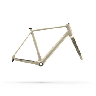 Surveyer Frame + Fork