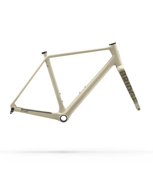 Surveyer Frame + Fork