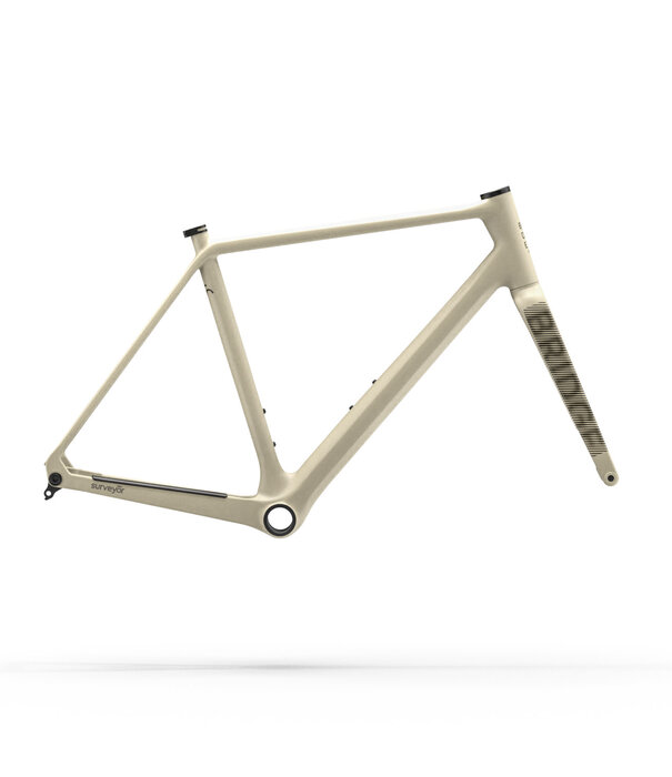 Bridge Surveyer Frame + Fork