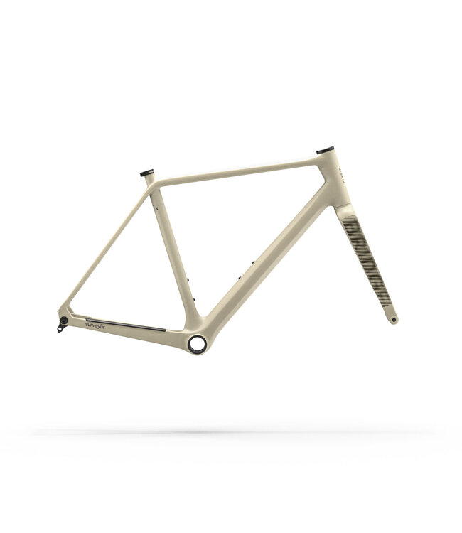 Bridge Surveyer Frame + Fork