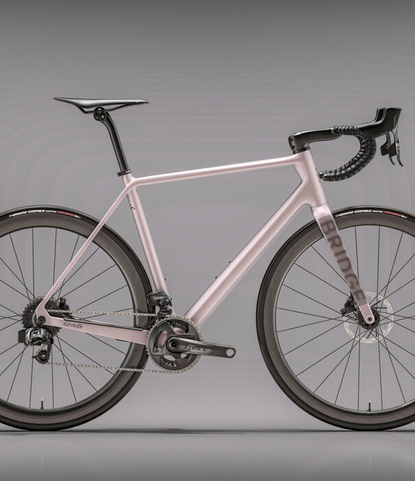 Bridge Surveyer Frame + Fork