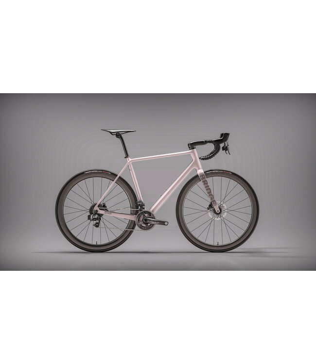 Bridge Surveyer Frame + Fork