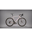 Bridge Surveyer Frame + Fork