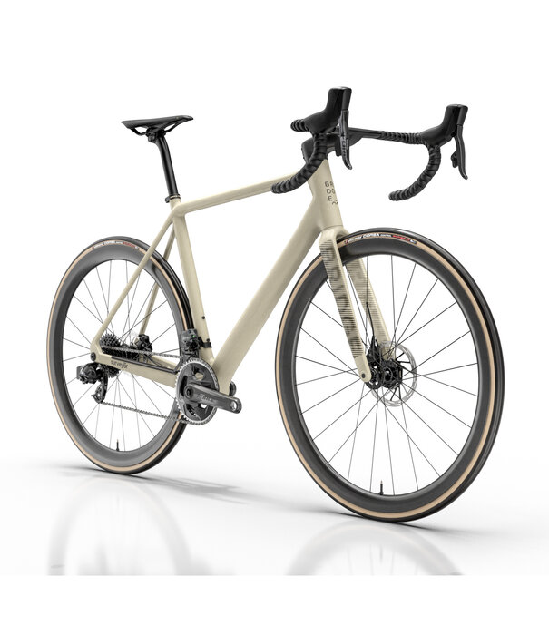 Bridge Surveyer Frame + Fork