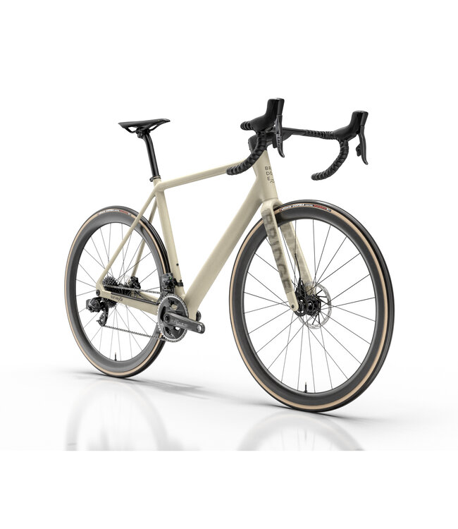 Bridge Surveyer Frame + Fork