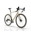 Bridge Surveyer Frame + Fork