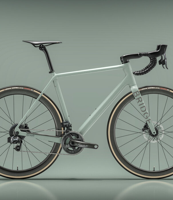 Bridge Surveyer Frame + Fork