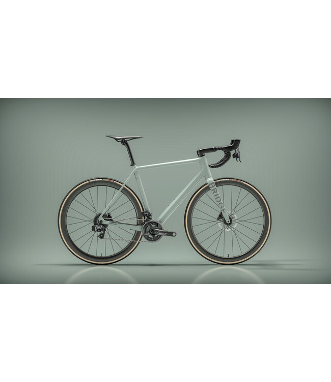 Bridge Surveyer Frame + Fork