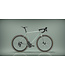 Bridge Surveyer Frame + Fork