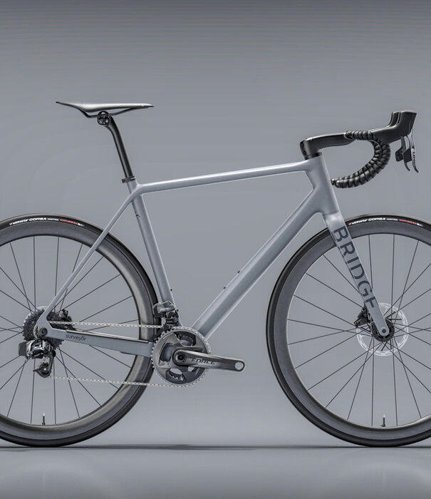 Bridge Surveyer Frame + Fork