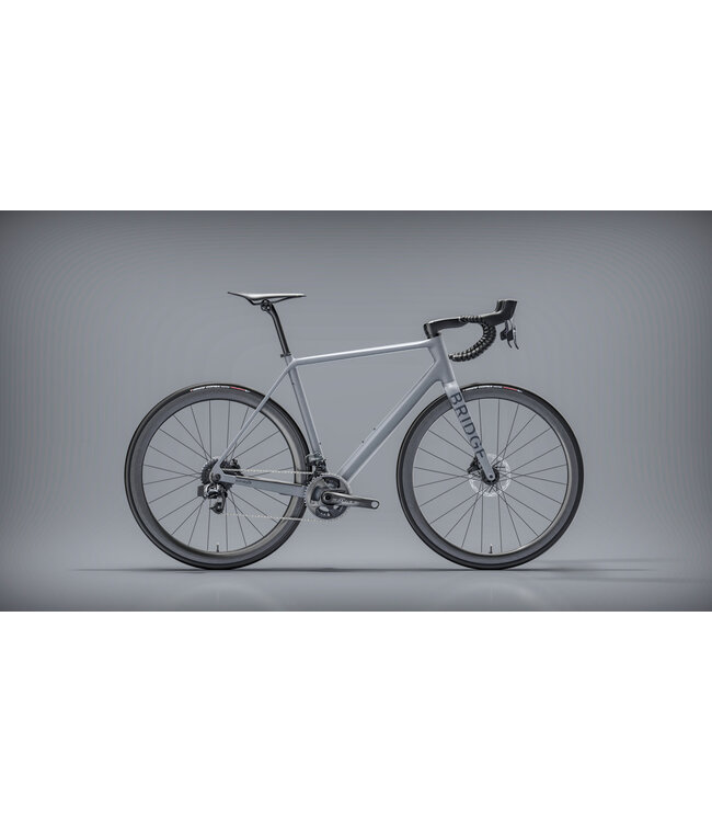 Bridge Surveyer Frame + Fork