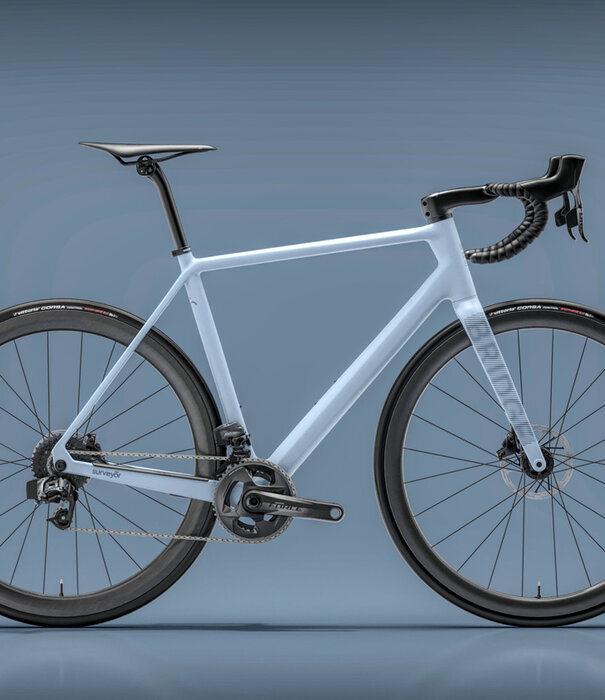 Bridge Surveyer Frame + Fork