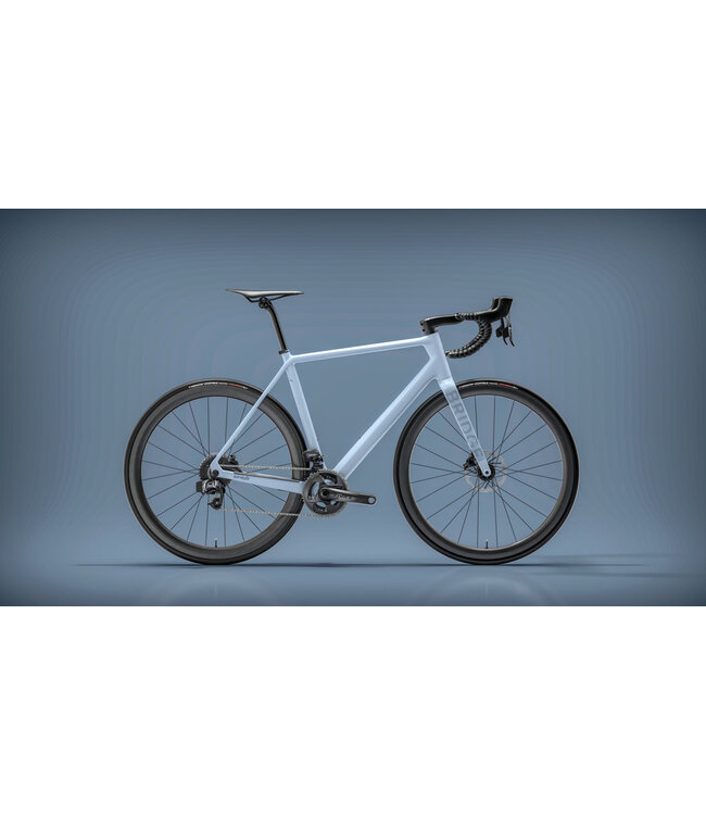 Bridge Surveyer Frame + Fork