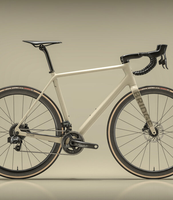 Bridge Surveyer Frame + Fork