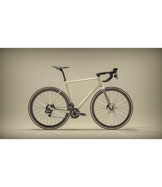 Bridge Surveyer Frame + Fork