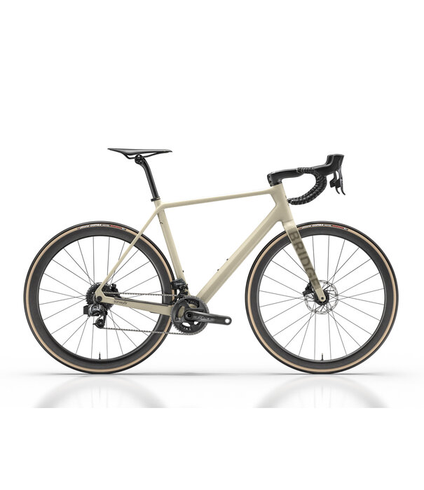 Bridge Surveyer Frame + Fork