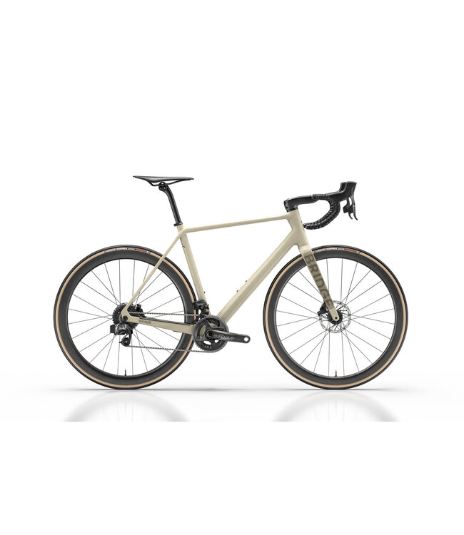 Bridge Surveyer Frame + Fork