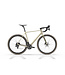 Bridge Surveyer Frame + Fork