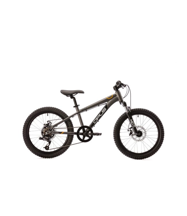 20 inch 21 speed bike hotsell