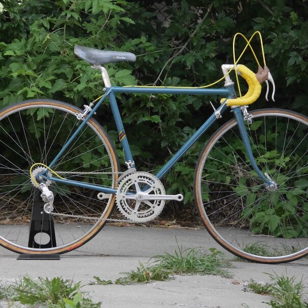 Proctor Proctor 49cm