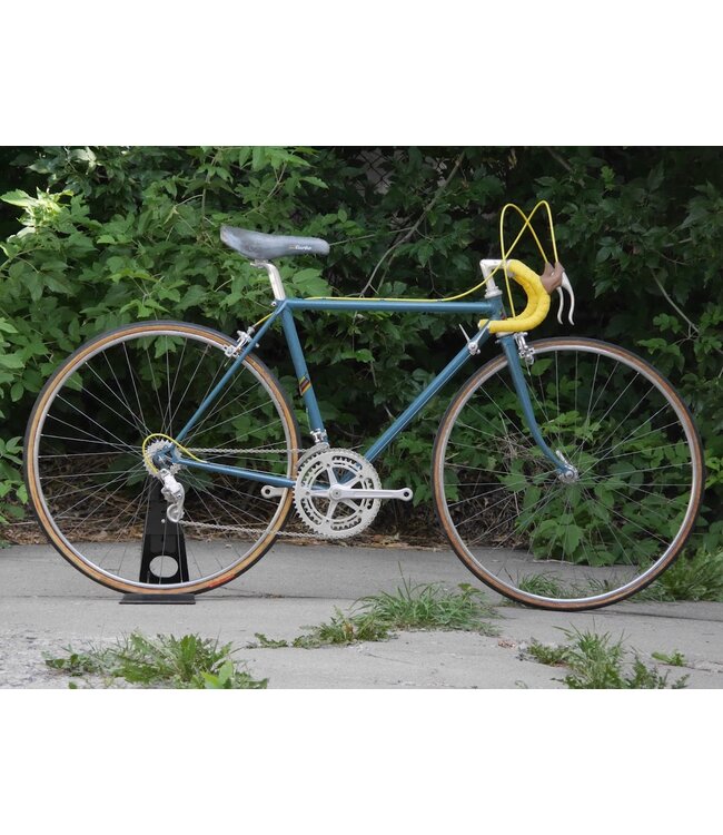 Proctor Proctor 49cm