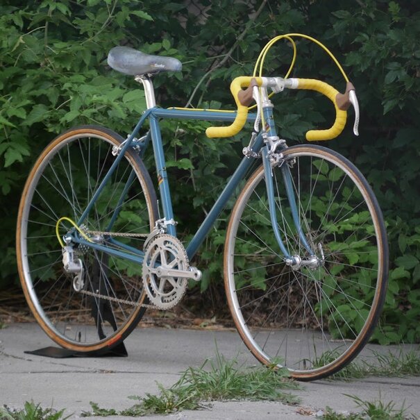 Proctor Proctor 49cm