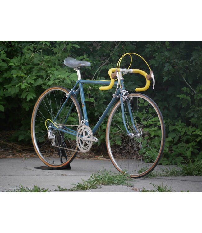 Proctor 49cm