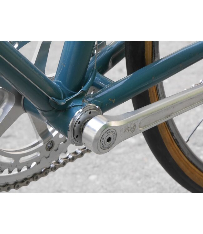 Proctor Proctor 49cm