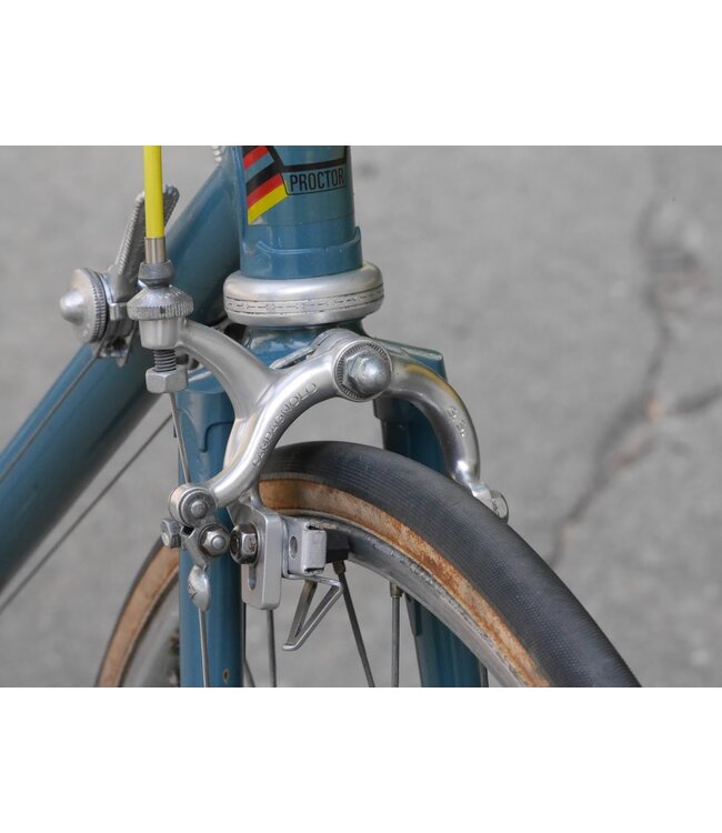 Proctor 49cm