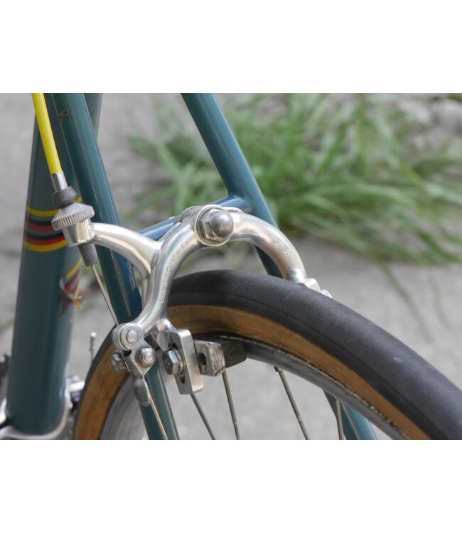 Proctor 49cm