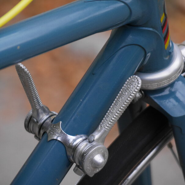 Proctor Proctor 49cm