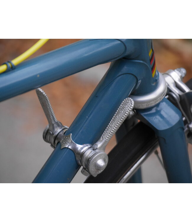 Proctor 49cm