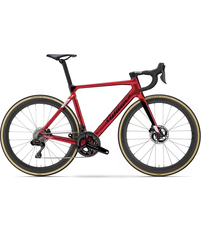 Wilier Filante Frame Velvet Red Small
