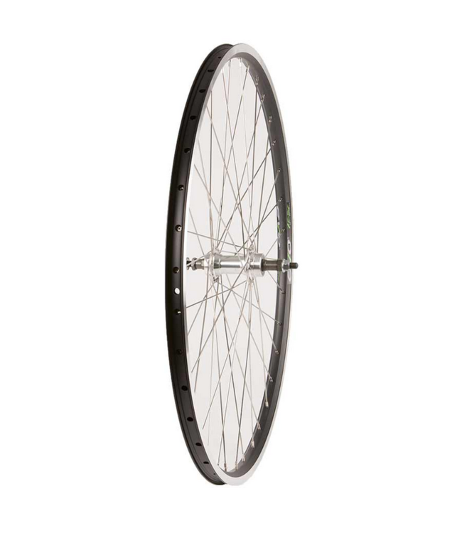 Wheel Shop, Evo Tour 19 Black/ Formula FM-31, Wheel, Rear, 700C / 622, Holes: 36, Bolt-on, 135mm, Rim, Freewheel