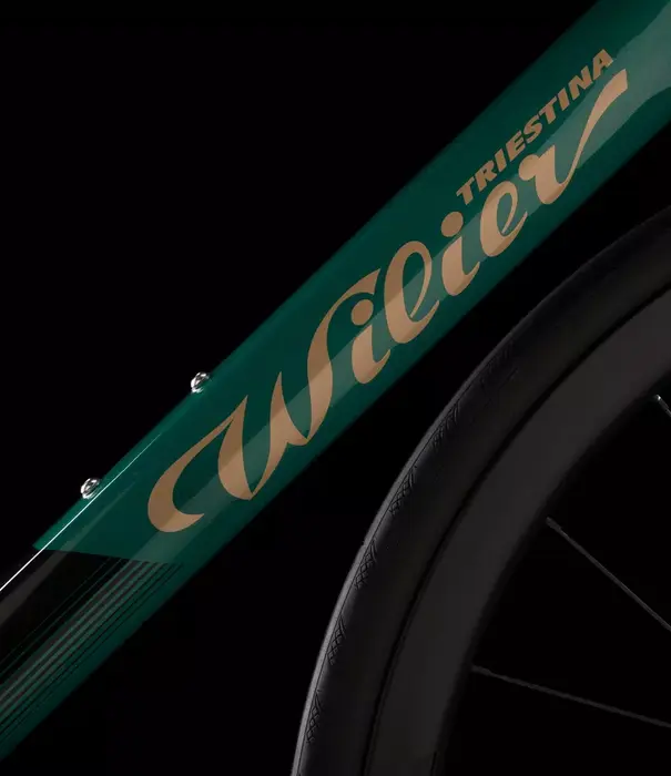 Garda G42 , Green Gold Gloss - Small