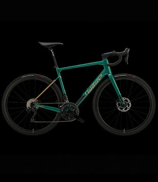 Garda G42 , Green Gold Gloss - Large