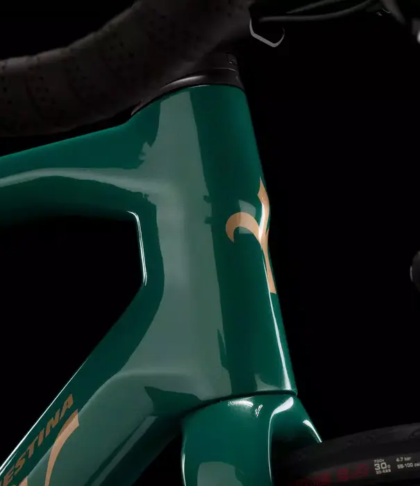 Garda G42 , Green Gold Gloss - Large