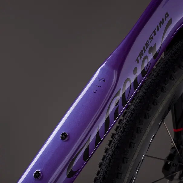 2026 Wilier Rave SLR ID2 - Neon Purple