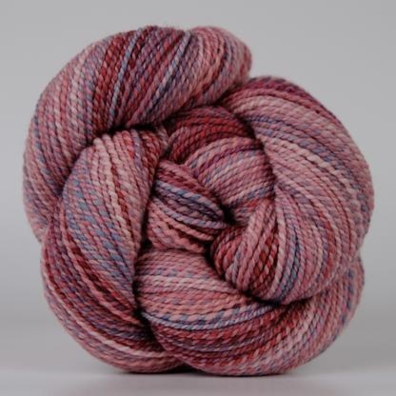 Spincycle Yarn Dyed in the Wool, Wallflower