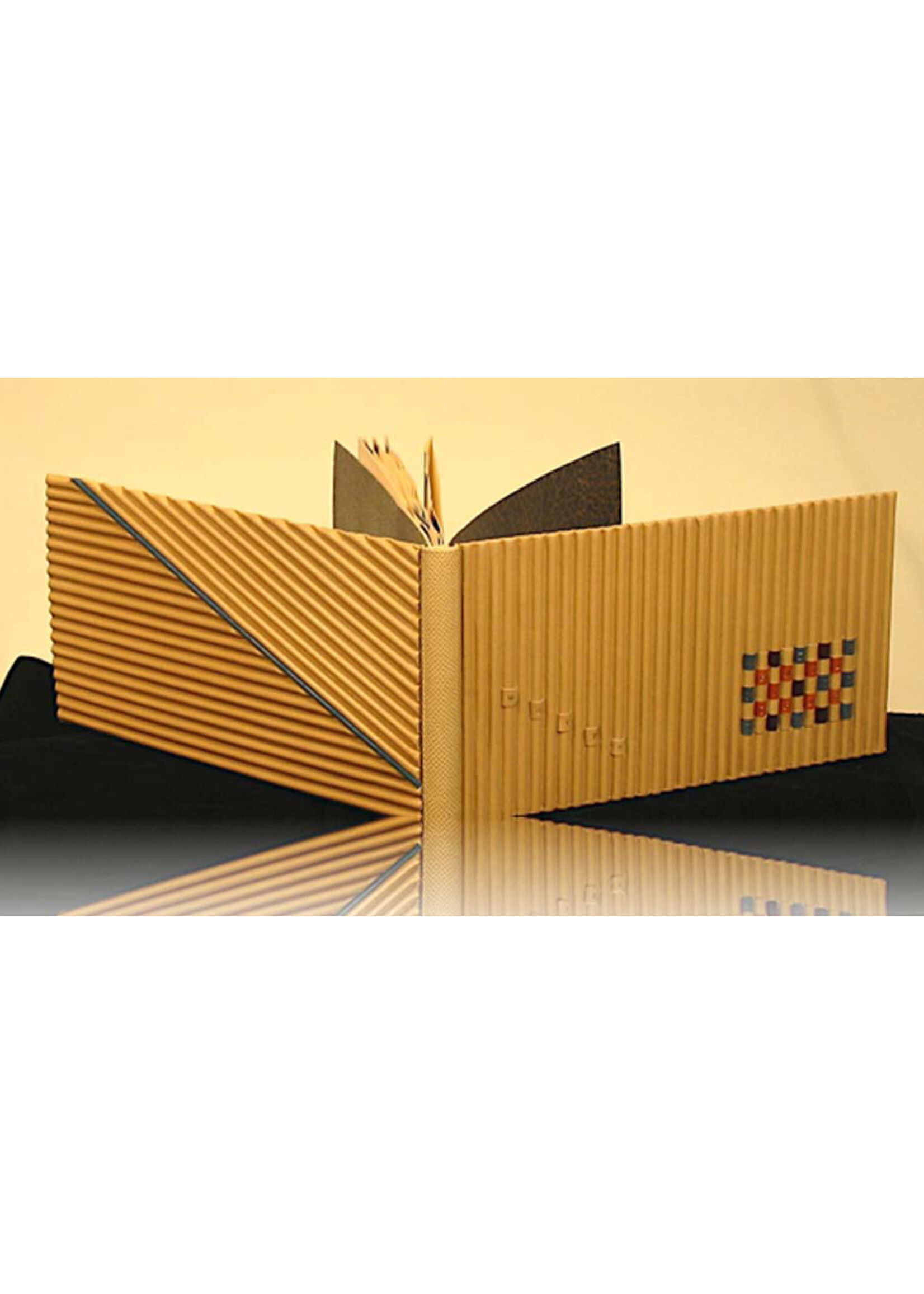 MUMAQ 375e de Montréal - Regard sur le livre, regard sur la ville