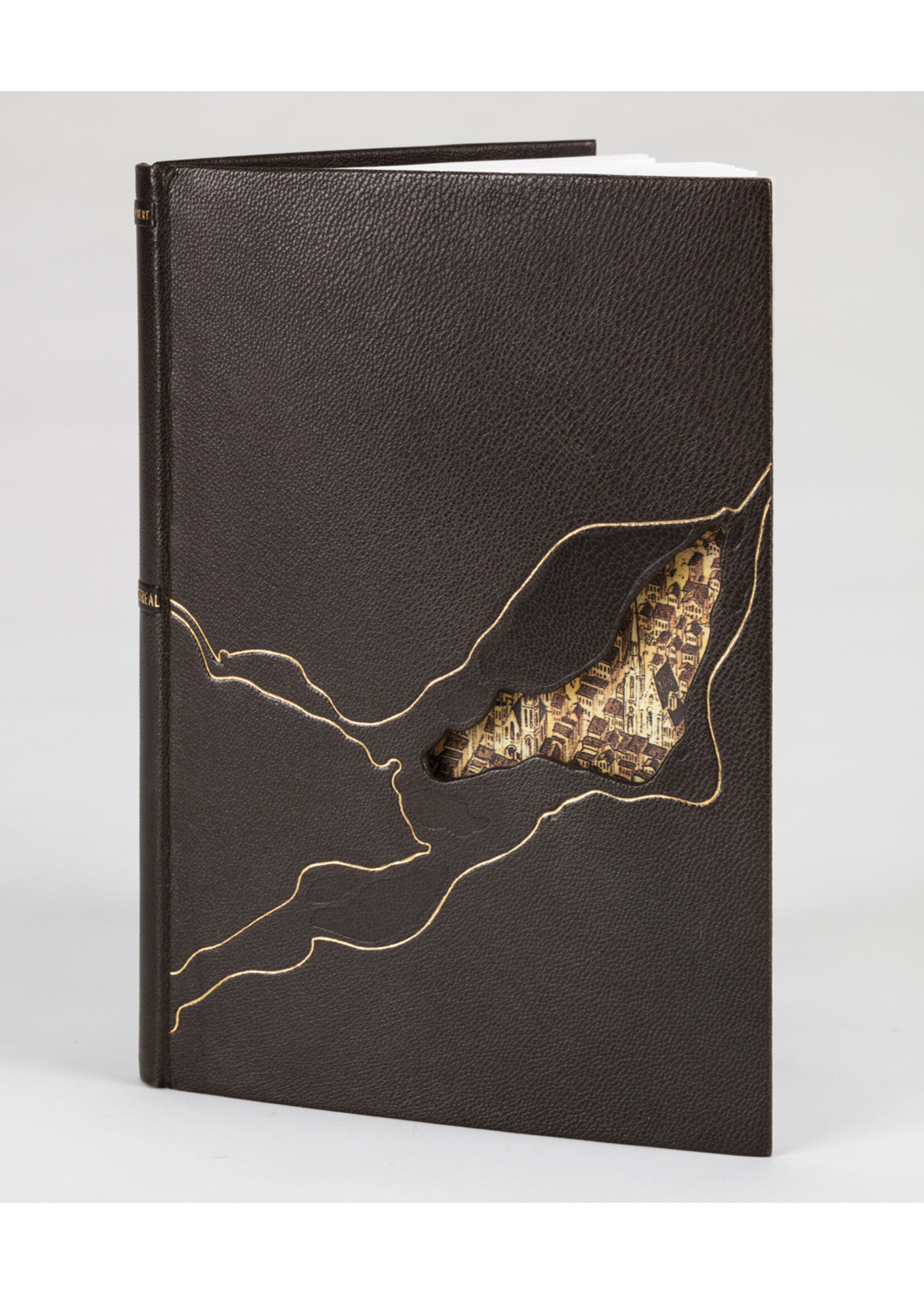 MUMAQ 375e de Montréal - Regard sur le livre, regard sur la ville