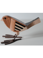 Jean-François Gaudreault Jean-François Gaudreault - Roselin familier juvénile