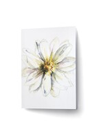 Scarlett Design Scarlett Design – Carte de souhaits Blanche