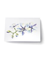 Scarlett Design Scarlett Design – Carte de souhaits Orchidées