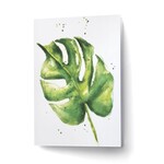 Scarlett Design – Carte de souhaits Monstera