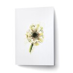 Scarlett Design Scarlett Design – Carte de souhaits Anémone
