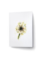 Scarlett Design Scarlett Design – Carte de souhaits Anémone