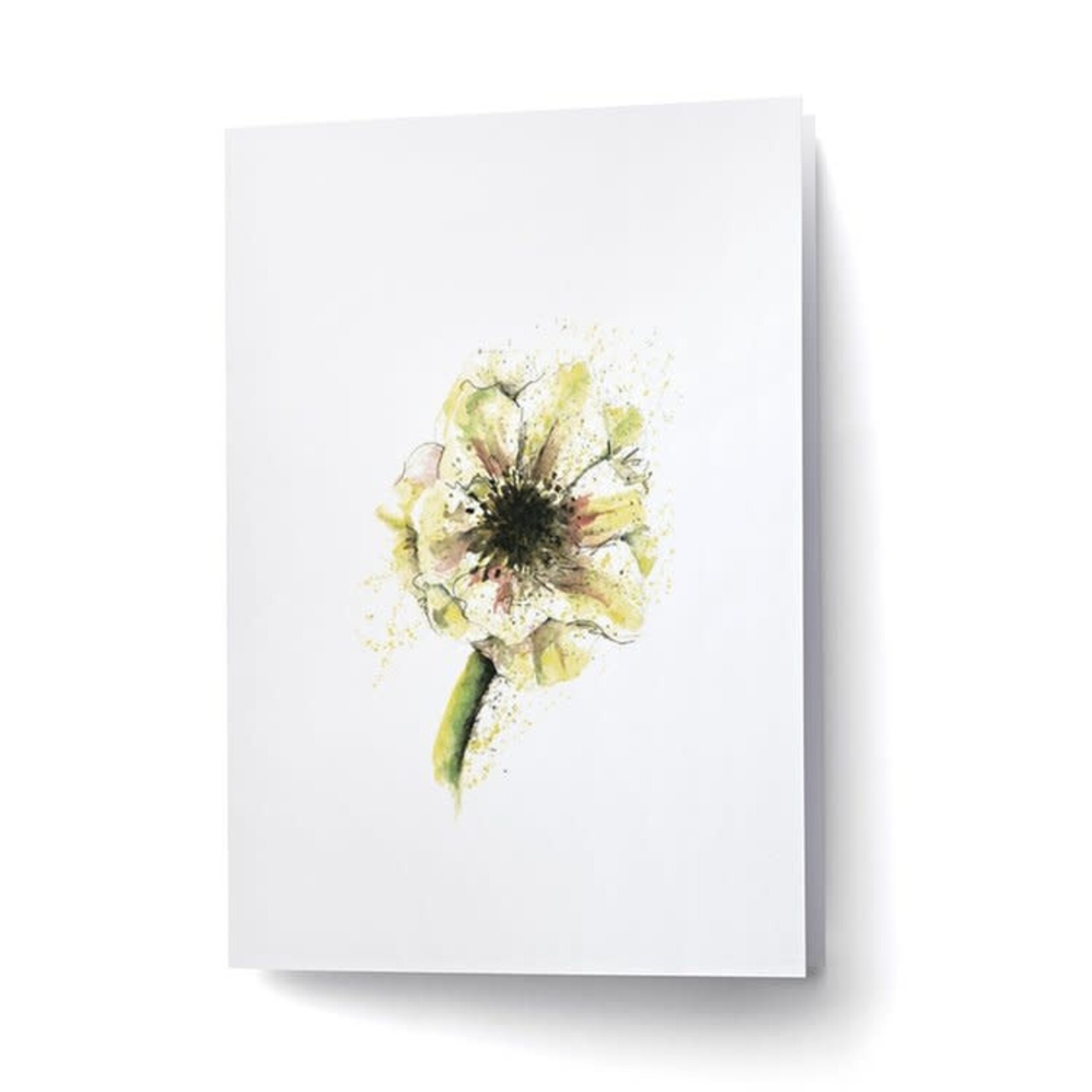 Scarlett Design Scarlett Design – Carte de souhaits Anémone