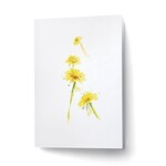 Scarlett Design Scarlett Design – Carte de souhaits Dandelions