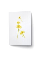 Scarlett Design Scarlett Design – Carte de souhaits Dandelions